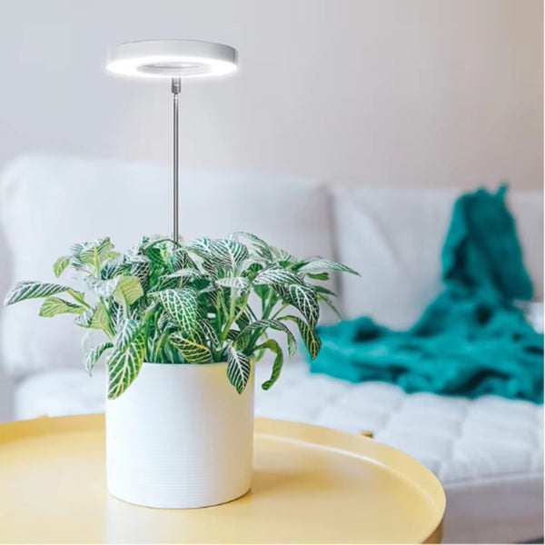 Led Plant Growth Light Usb Timer Adjustable Height Decorative Lighting