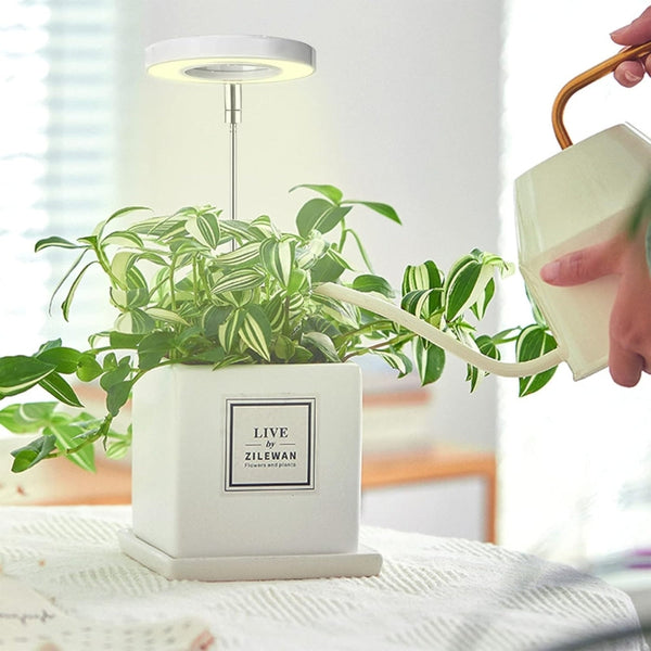 Led Plant Growth Light Usb Timer Adjustable Height Decorative Lighting