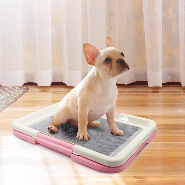Dog Training Toilet Indoor Potty For Small Dogs And Cats Other Training & Obedience