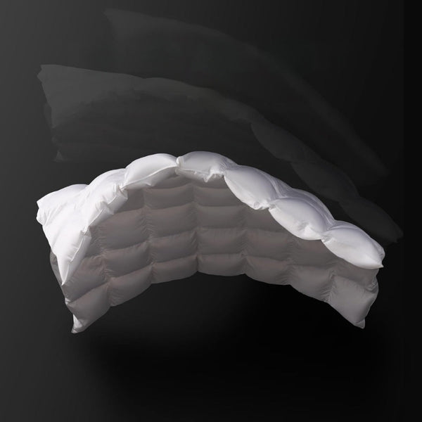 Goose Feather Down Quilt 500/700Gsm Duvet Doonas Quilt Covers