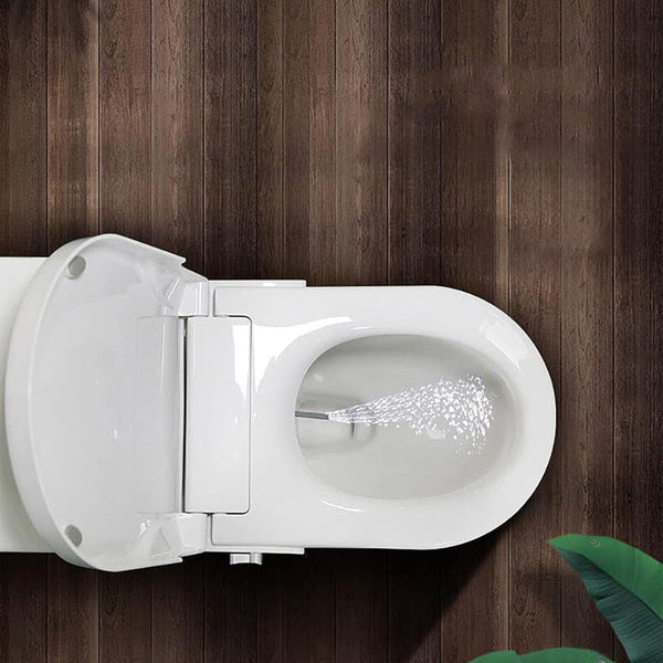 Non Electric Bidet Toilet Seat With Cover Toilet Seats