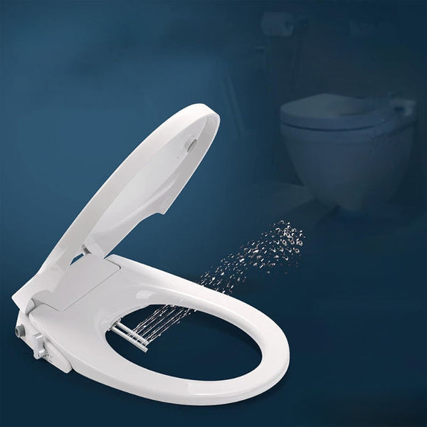 Non Electric Bidet Toilet Seat With Cover Toilet Seats