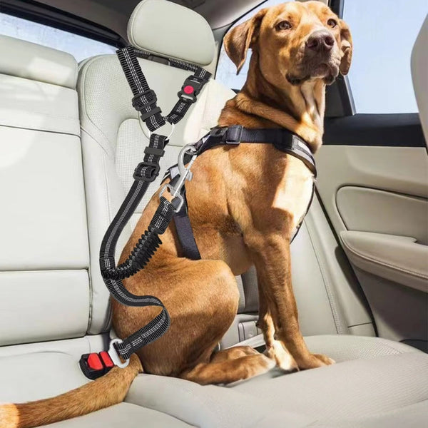 Heavy Duty Dog Car Seat Belt With Striped Nylon Design Pet Transport