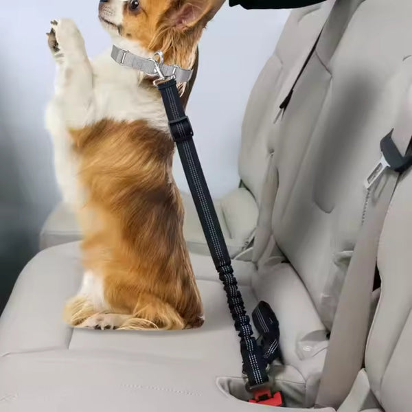 Heavy Duty Dog Car Seat Belt With Striped Nylon Design Pet Transport