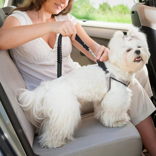 Heavy Duty Dog Car Seat Belt With Striped Nylon Design Pet Transport