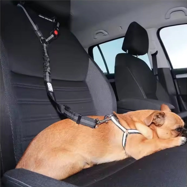 Heavy Duty Dog Car Seat Belt With Striped Nylon Design Pet Transport