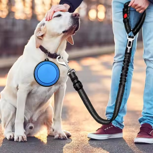 Heavy Duty Dog Car Seat Belt With Striped Nylon Design Pet Transport