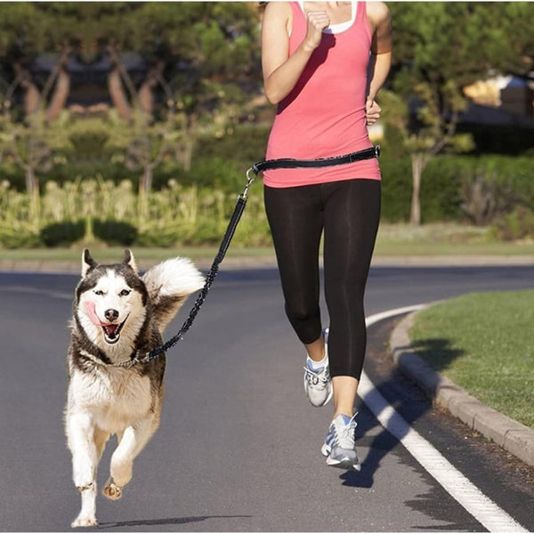 Heavy Duty Dog Car Seat Belt With Striped Nylon Design Pet Transport