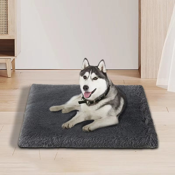 Plush Removable Dog And Cat Bed Mat For Pets Pet Beds