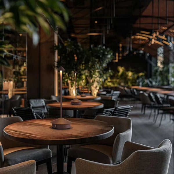 Rechargeable Led Table Lamp With Touch Sensor 3 Color Stepless Dimming Lamps