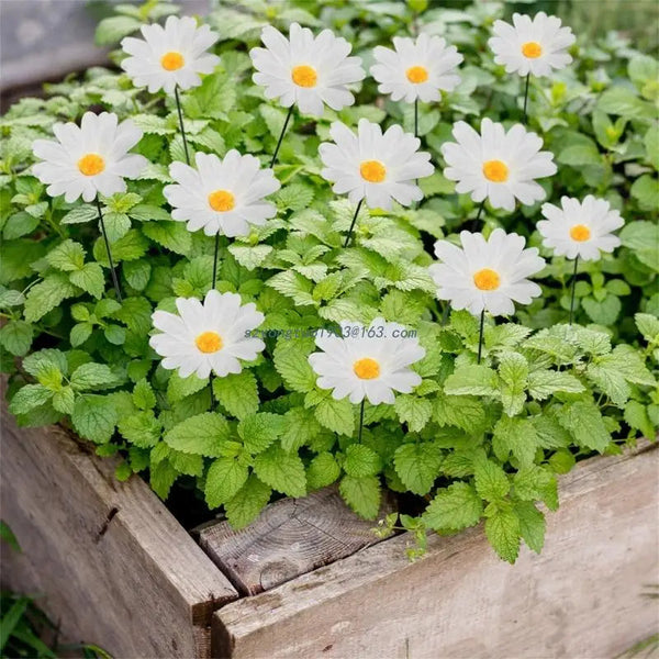 20 Pieces Daisy Flower Garden Stakes Decoration For Indoor And Outdoor Use Lawn Stakes