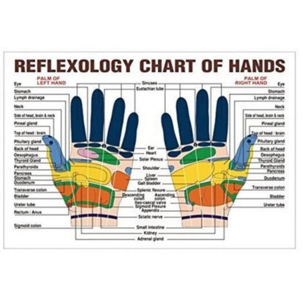 20Pcs Finger Massage Ring Acupuncture Care Body Acupressure Massager Silver Massagers