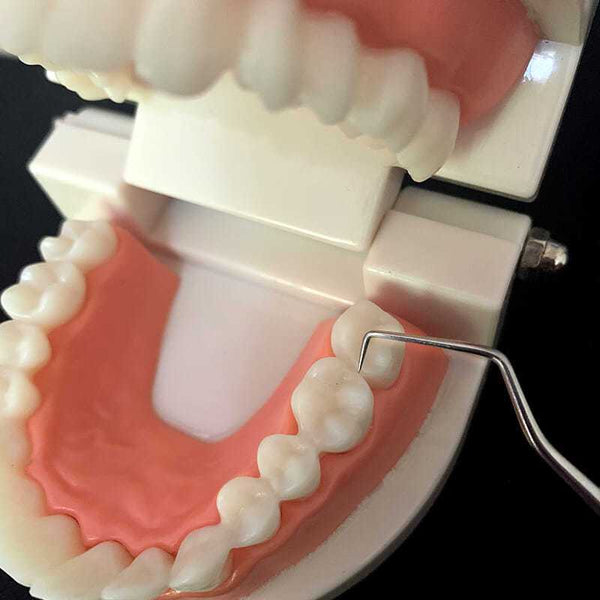 Stainless Steel Toothpick 304 Household Portable Cleaning Tool Set Toothpick Dispensers