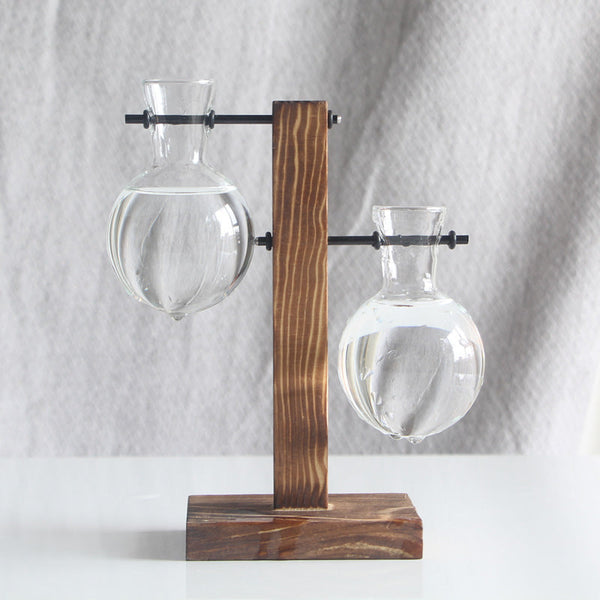 Transparent Bulb Vase With Wood Stand. For Hydroponics. Great Coffee Shops & Room Decor. Vases