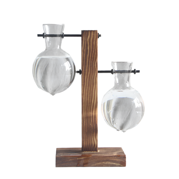 Transparent Bulb Vase With Wood Stand. For Hydroponics. Great Coffee Shops & Room Decor. Vases