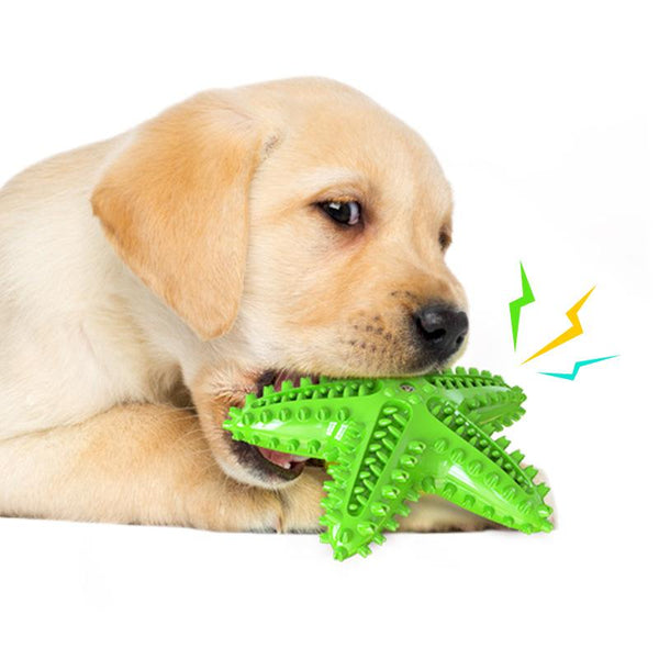 Starfish Dog Chew Toy Pet Supplies Chewing Toothbrush Dog Toys