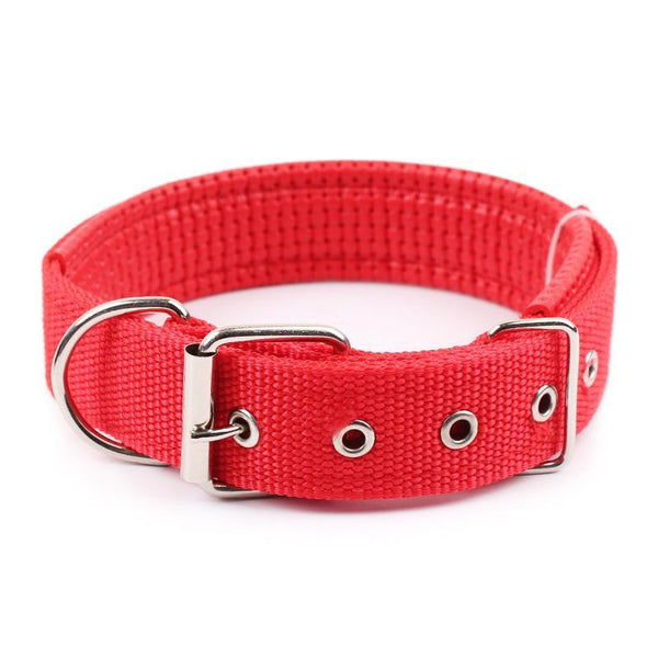 Walk Me Nylon Flat Dog Collar Dog Collars