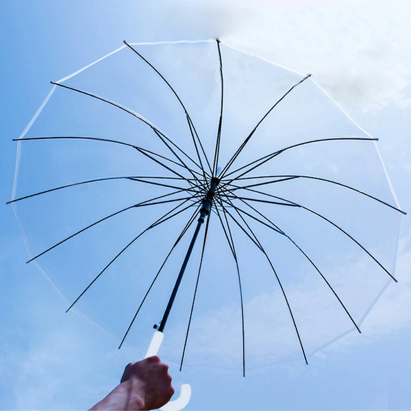 Automatic Long Handled Transparent Umbrella Enlarged Forest Japanese Student Sun Female Straight Umbrellas
