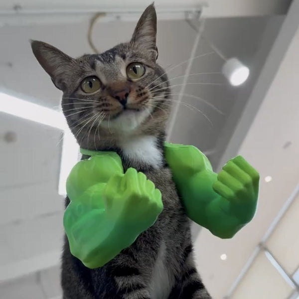 Hulk Cat Arm Pet Dog Toy Photography Prop 3D Printed Cute Funny Creative Costume Backpack Dog Toys