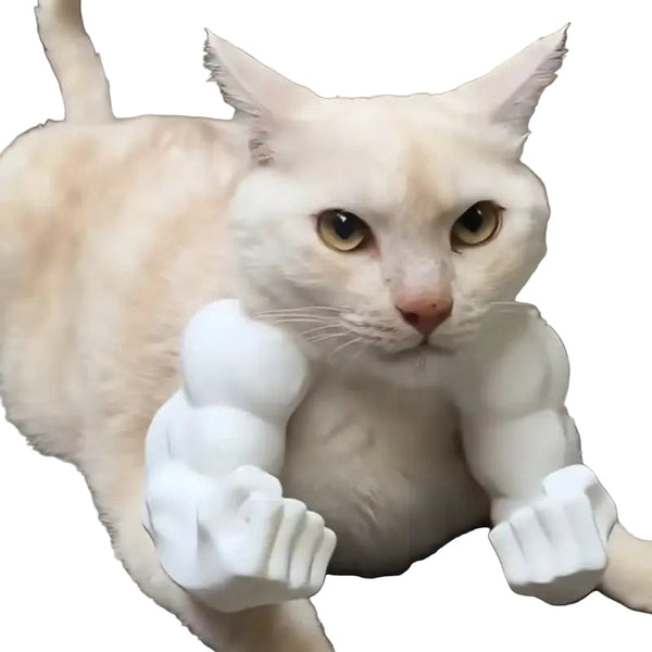 Hulk Cat Arm Pet Dog Toy Photography Prop 3D Printed Cute Funny Creative Costume Backpack Dog Toys