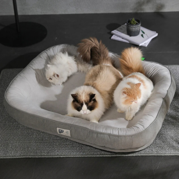 Pet Bed Apple Green Plush Cushion Mattress Couch Accessories Pet Beds