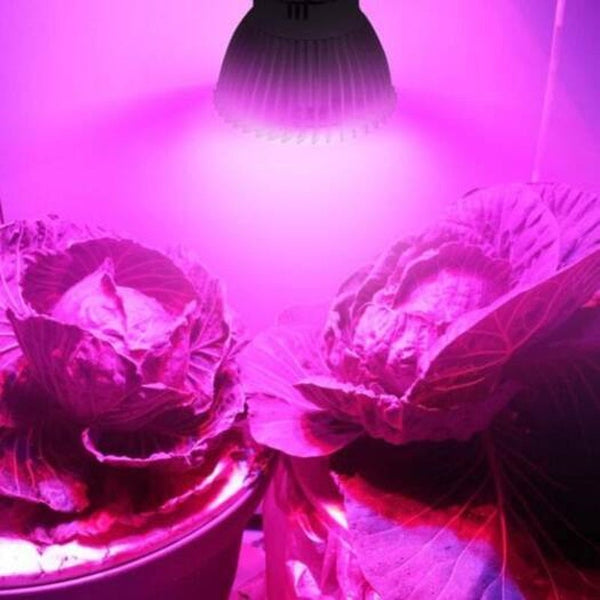 28 Led All Light Spectrum Plant Lamp Milk White Grow Lights & Light Bulbs