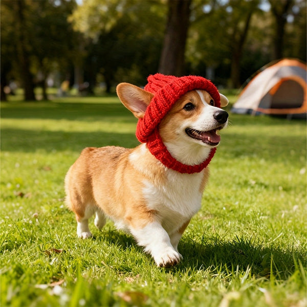 Autumn And Winter Warm Windproof Halloween Knitted Fighting Dog Hat Dog Clothing & Shoes