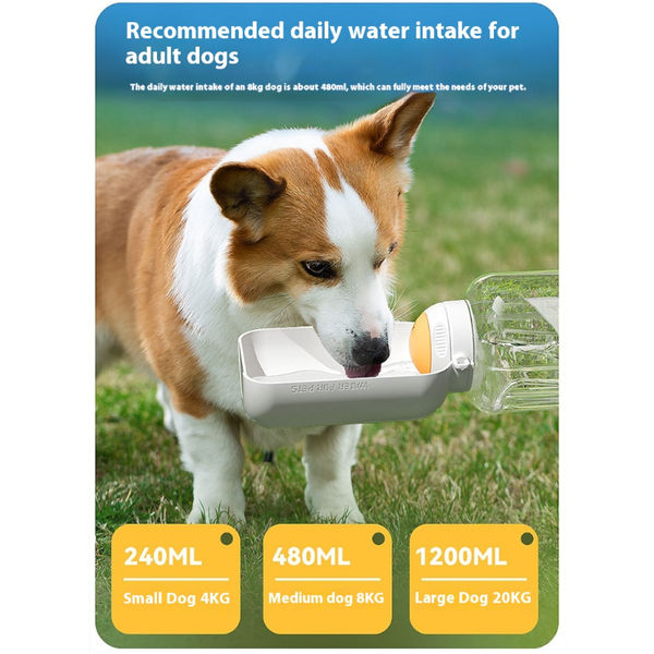 2 In 1 Dog Large Capacity Pets Drinking Pot Cat Water Dispenser Portable Bowl Dog Bowls