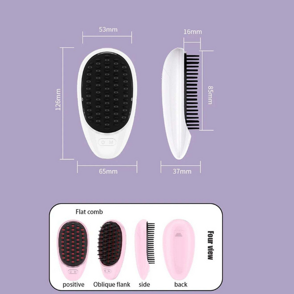 Home Use Electric Massage Comb Anti Hair Loss Vibration With Red Li Brushes & Combs