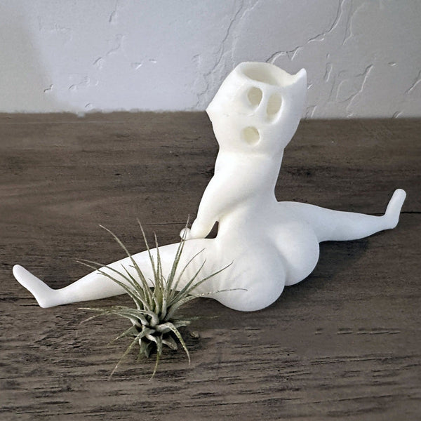 Lively Air Plant Display Ghost Flower Pot Modern Simplicity Home Garden White Baskets Pots Window Boxes