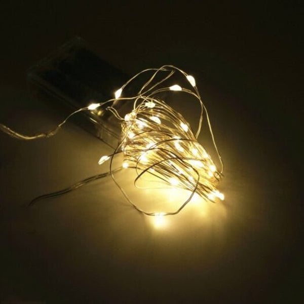 2M 20 Led Silver Wire Strip Light Battery Operated 1Pc Warm White