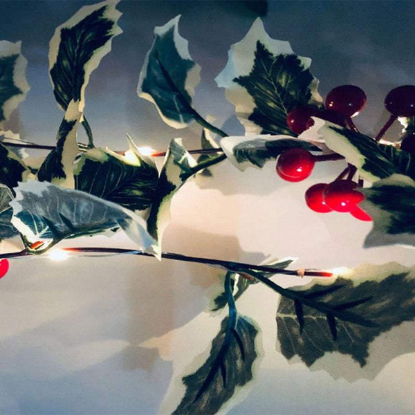 Indoor String Lights 2M 20Led Christmas Berry Garland Battery Powered