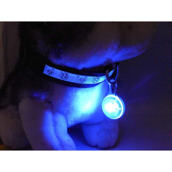 Pet Travel Access 2Pack Colourful Clip On Safety Night Light Collar Keychain Led Waterproof Walking Lights For Dogs And Cats Pink Blue Dog Collars