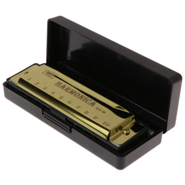 10 Holes Key Of C Blues Harmonica Musical Instrument Educational Toy Gold Harmonicas