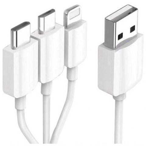 3 In 1 20Cm Usb 2.0To Type / 8 Pin Micro Usbcharging Cable White