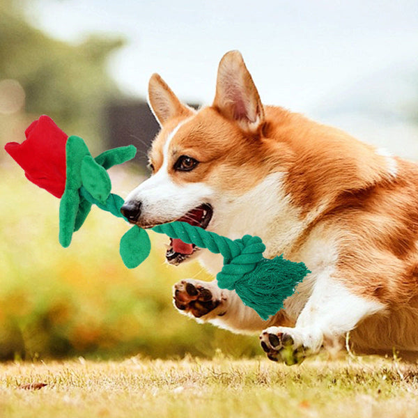 Dog Toy Rose Flower Plush Durable Biting Tooth Cleaning Cotton Rope Knot Crinkle Sound Self Entertainment Interactive Pet Product Dog Toys