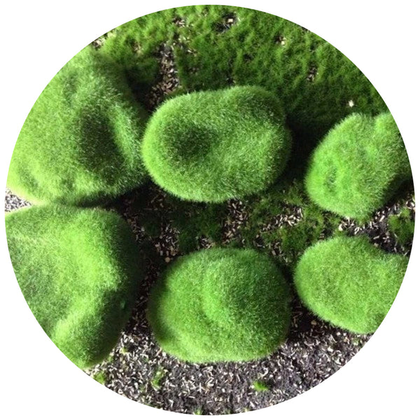 Mossy Stone Artificial Green Rock Flower Arrangement Material Artificial Plants