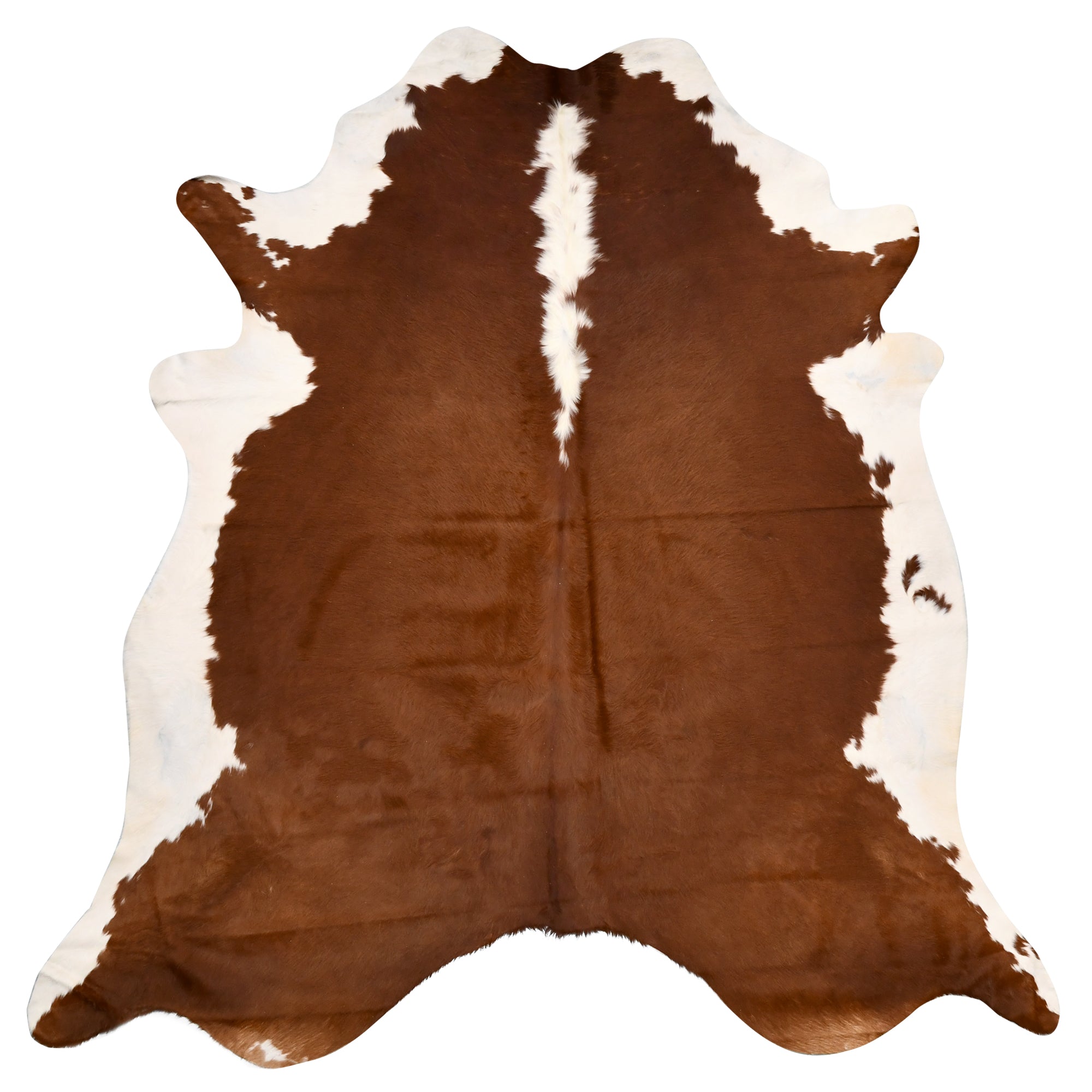 Genuine Brown And White Cowhide Rug Regular Size Approximately 2.3M X Rugs