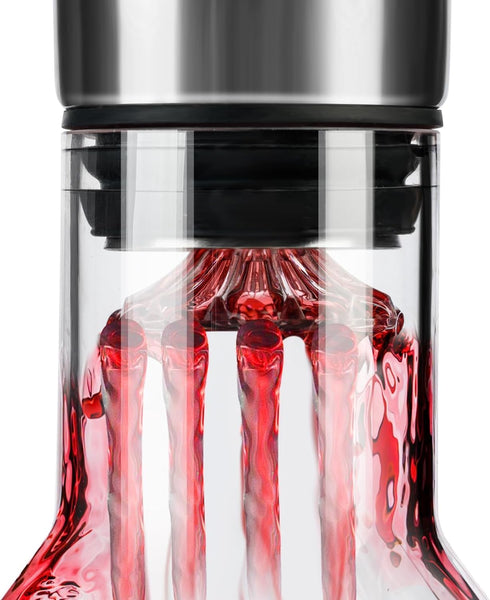 Carla Home Iceberg Wine Decanter With Aerator Filter And Lid Decanters