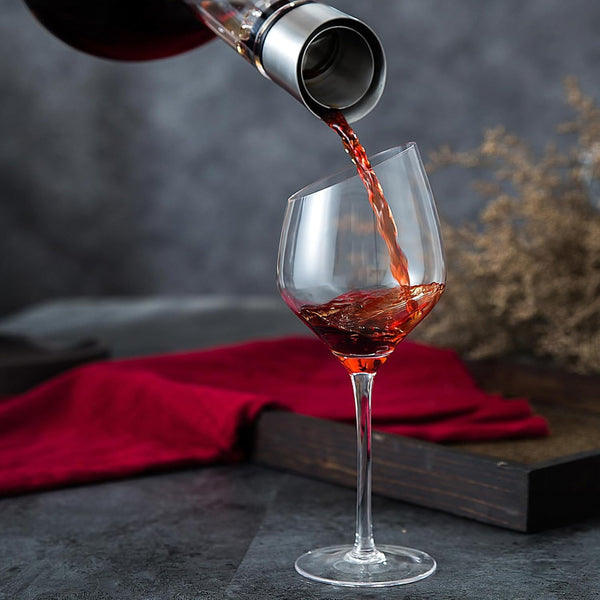 Carla Home Iceberg Wine Decanter With Aerator Filter And Lid Decanters