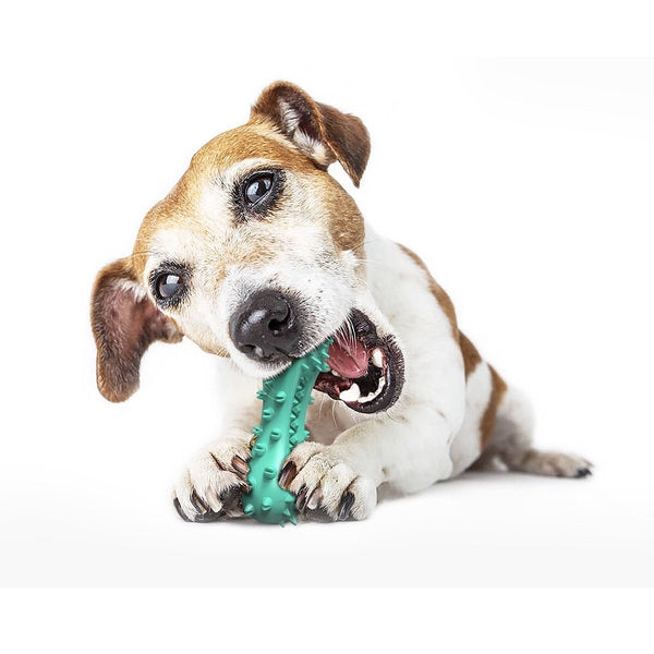 Dental Dumbbell Toothbrush Dog Toy Dog Toys