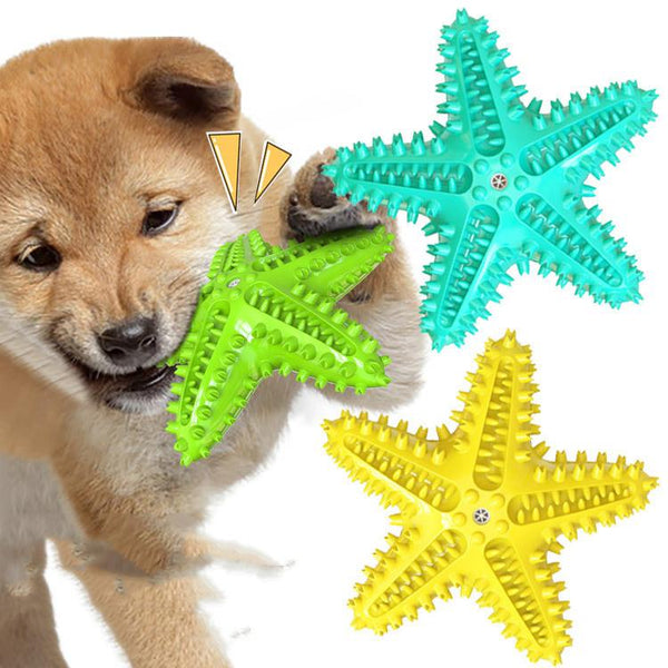 Starfish Dog Chew Toy Pet Supplies Chewing Toothbrush Dog Toys