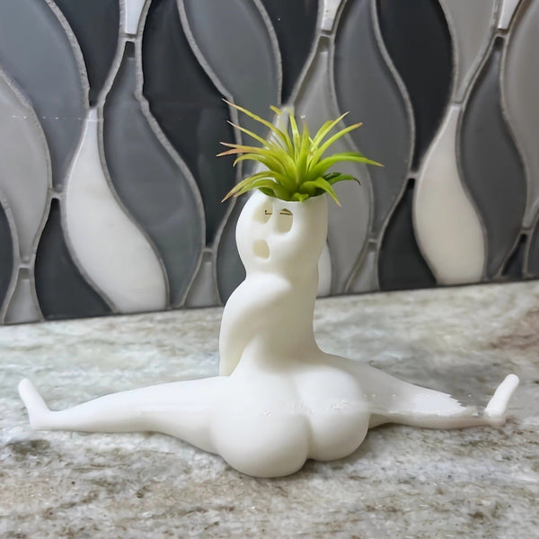 Lively Air Plant Display Ghost Flower Pot Modern Simplicity Home Garden White Baskets Pots Window Boxes