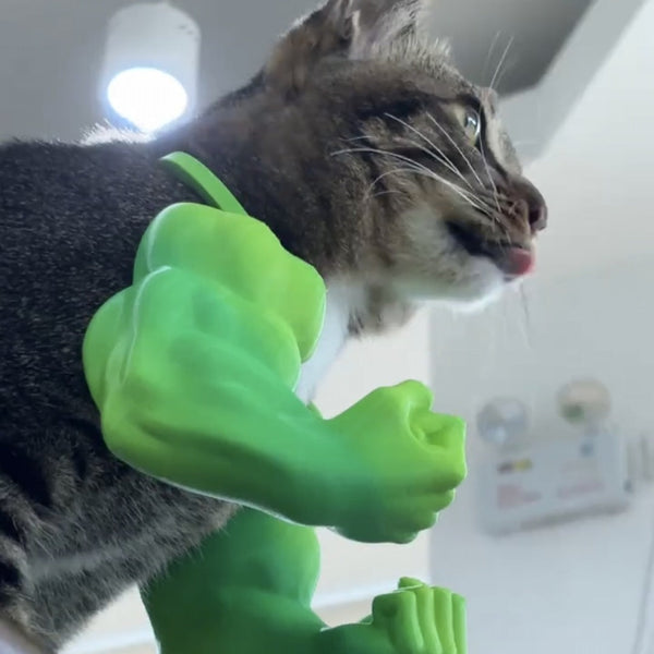 Hulk Cat Arm Pet Dog Toy Photography Prop 3D Printed Cute Funny Creative Costume Backpack Dog Toys