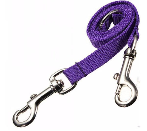 Purple Double Dog Leash For Two Dogs Belt Leads & Head Collars