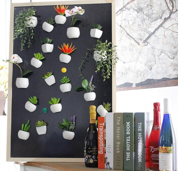 Cute Plant Fridge Magnets Succulent Cactus Orchid Refridgerator Decorations Refrigerator Magnets