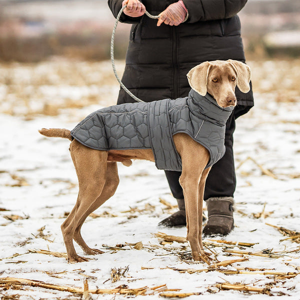 Thick And Warm Dog Clothing Outdoor Cotton Coat Vest For Winter Warmth Dog Clothing & Shoes