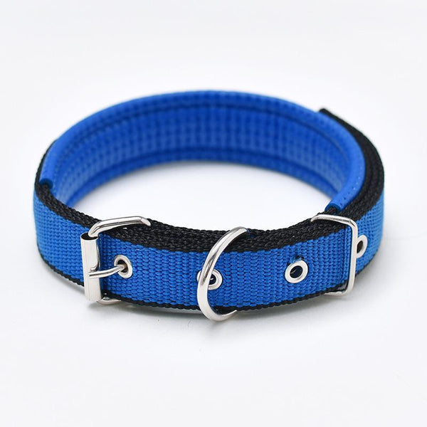 Walk Me Nylon Flat Dog Collar Dog Collars
