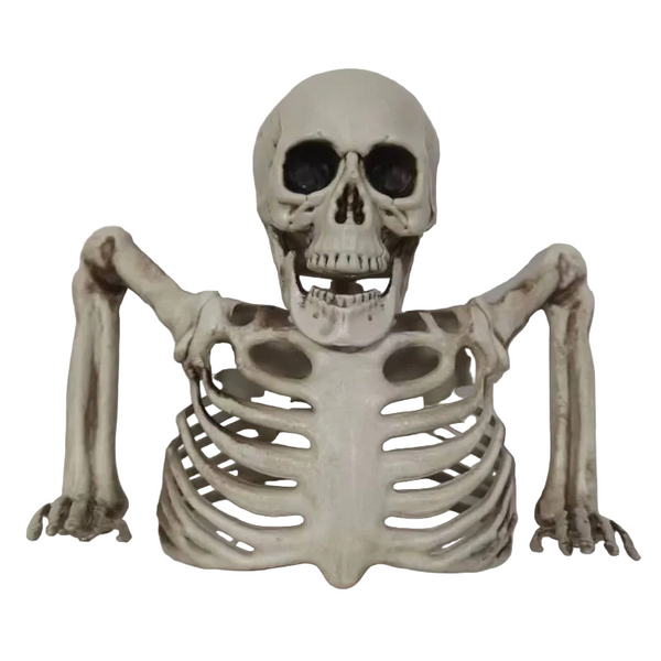 Halloween Glowing Skull Skeleton Half Body Spooky Props Decoration Seasonal Decorations