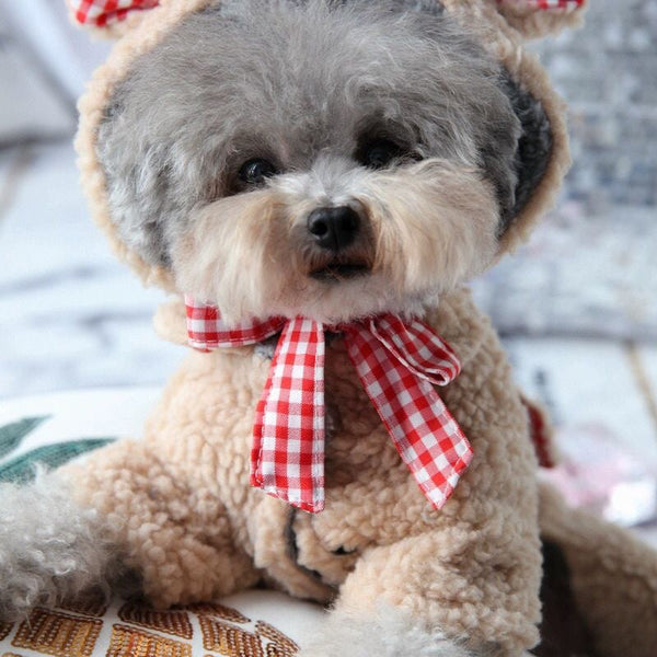 Pet Bixiong Pomeranian Small Dog Poodle Teddy Four Leg Autumn/Winter Clothes Ribbon Khaki Dog Clothing & Shoes